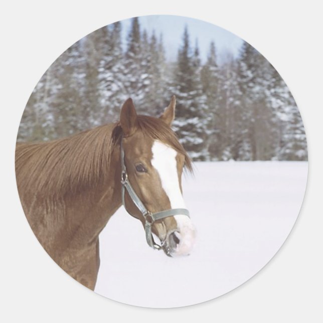 Winter Horse Classic Round Sticker (Front)