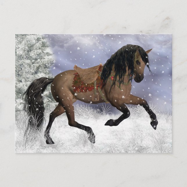 Winter Horse Fantasy Art Postcard (Front)