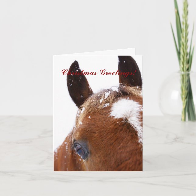 Winter Horse Head Christmas Greeting Card (Front)