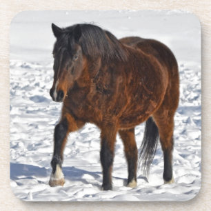 Winter Horse in Snowy Field Coaster