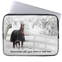 Winter Horse
