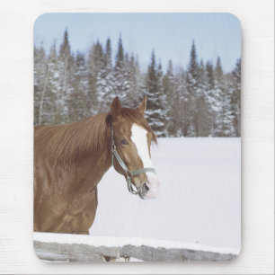 Winter Horse Mouse Mat