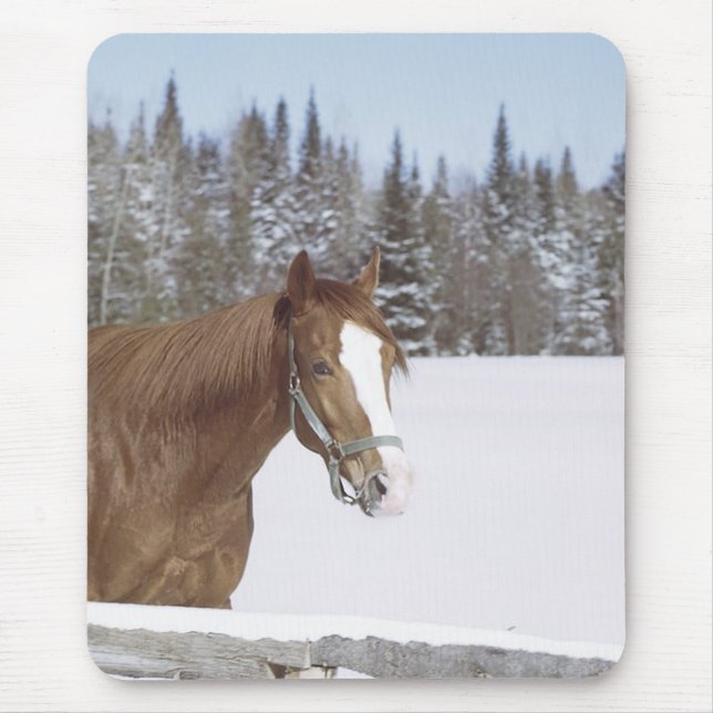 Winter Horse Mouse Mat (Front)