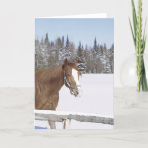 Winter Horse Snow Equine Xmas Holiday Christmas Card
