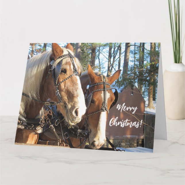 Winter Horses at Sturbridge Village Christmas Card (Front)