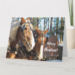 Winter Horses at Sturbridge Village Christmas Card