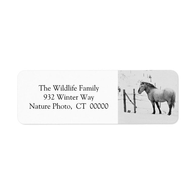 Winter Horses Fence Personalizable Christmas Label (Front)