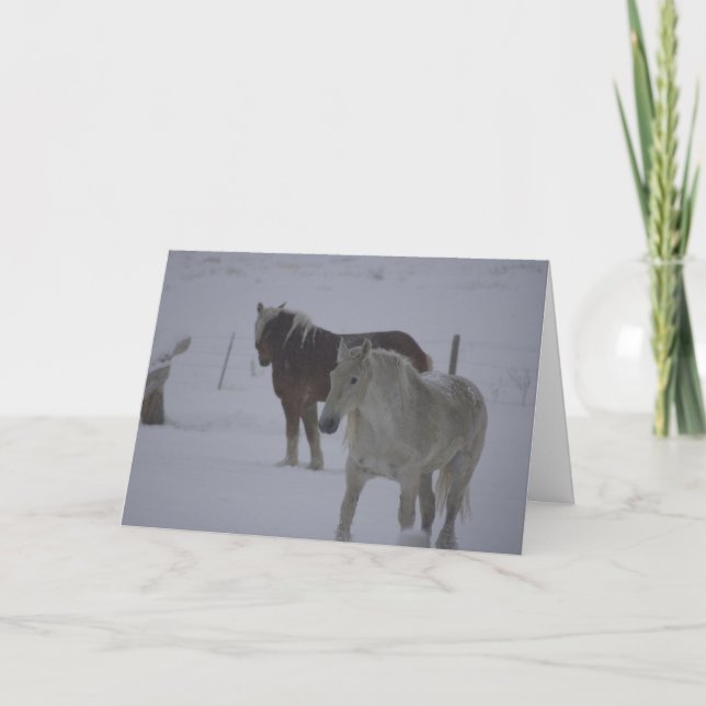 Winter Horses Holiday Card (Front)