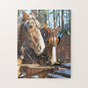Winter Horses Themed Jigsaw Puzzle