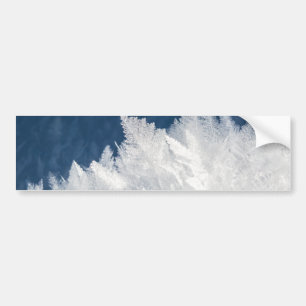 Winter Ice Crystals Bumper Sticker