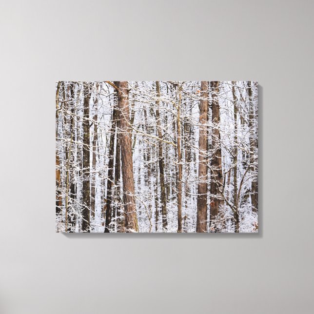 Winter Ice Storm in the Forest Canvas Print (Front)