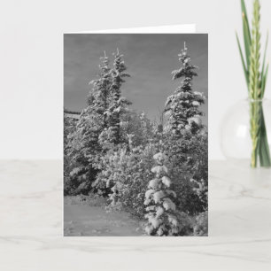 Winter in Black and White Holiday Card