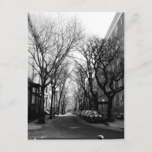 Winter in Brookly, NY Postcard