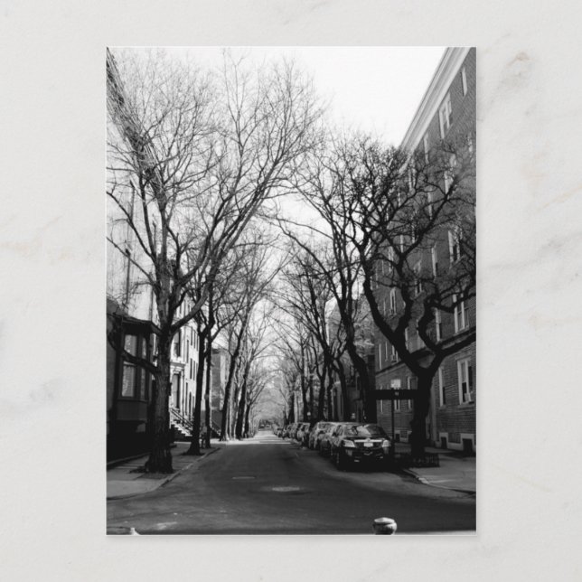 Winter in Brookly, NY Postcard (Front)