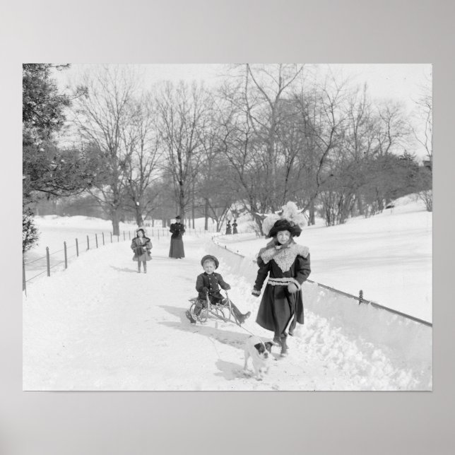 Winter in Central Park, 1900. Vintage Photo Poster (Front)