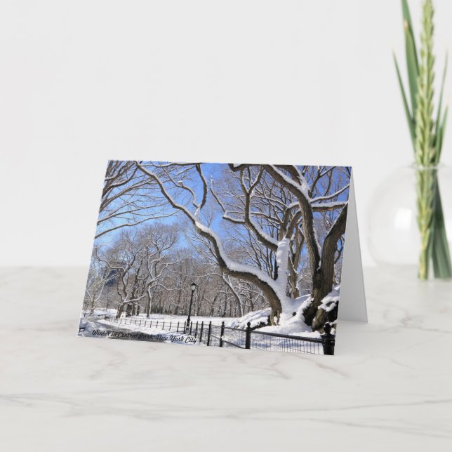 Winter in Central Park, New York City Holiday Card (Front)