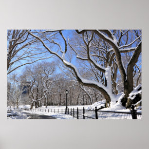 Winter in Central Park, New York City Poster