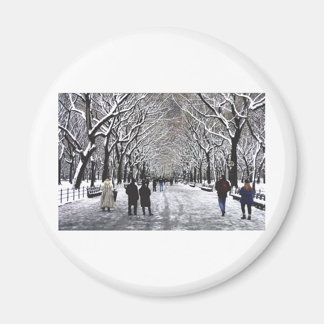 Winter in Central Park NYC Magnet (Front)
