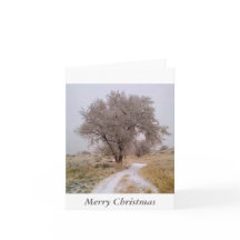 Winter in Colorado Christmas Card