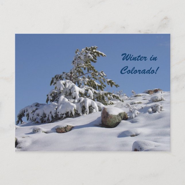 Winter in Colorado Postcard (Front)