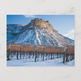 Winter in Colorado Wine Country Postcard