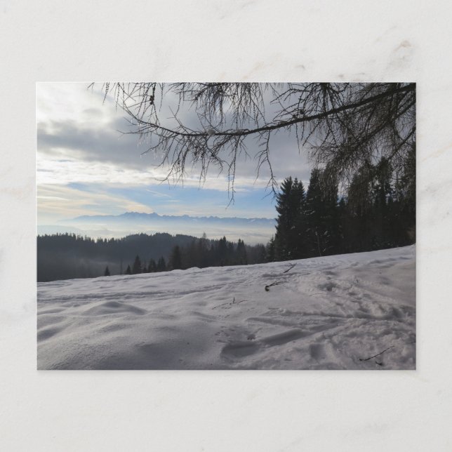 Winter in Gorce mountains Postcard (Front)