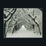 Winter in Heaton Park Postcard<br><div class="desc">Manchester,  UK</div>