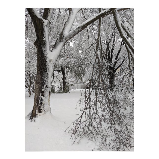 Winter in Lafayette Square, Washington, DC Photo Print (Front)