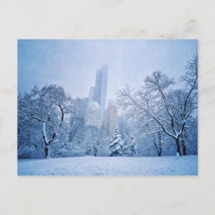 Winter In New York City’s Central Park Postcard