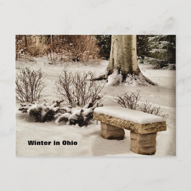 Winter in Ohio Postcard (Front)