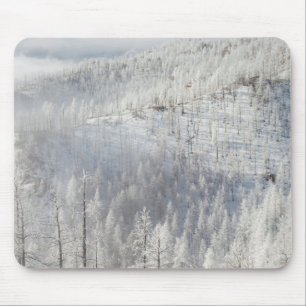 Winter in Pike National Forest Mouse Mat