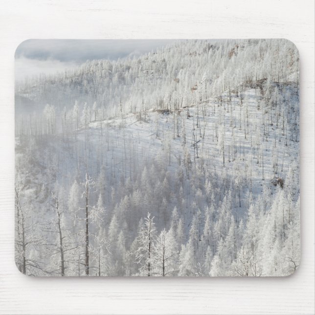 Winter in Pike National Forest Mouse Mat (Front)