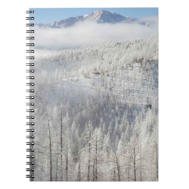Winter in Pike National Forest Notebook (Front)