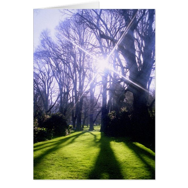 Winter in the Fitzroy Gardens (Front)