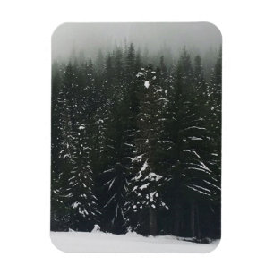 Winter in the Mountain Forest, Oregon Magnet