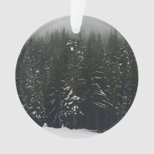 Winter in the Mountain Forest Ornament