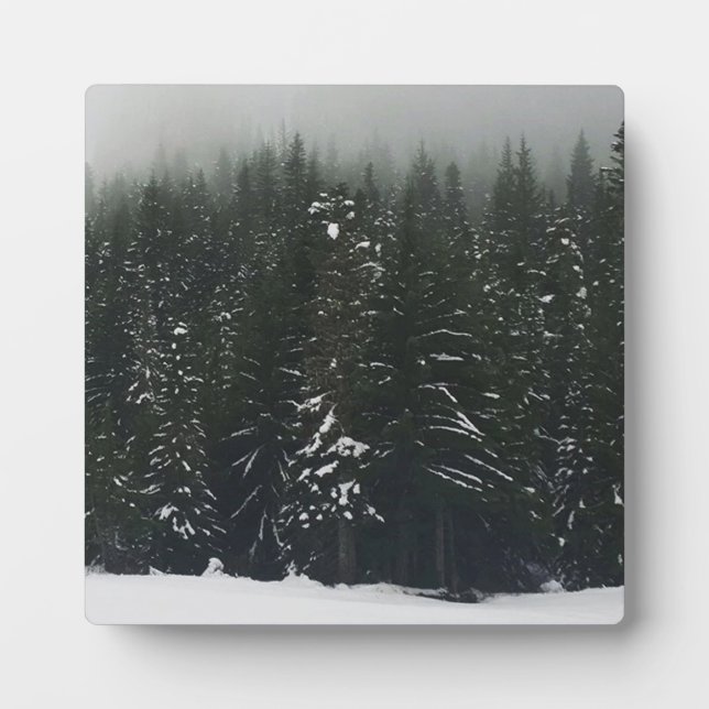 Winter in the Mountain Forest Plaque (Front)
