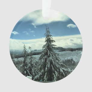 Winter in the Tillamook State Forest, Oregon Ornament