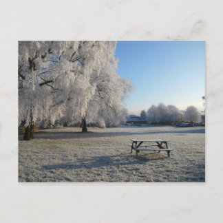 Winter in the Warwick Postcard