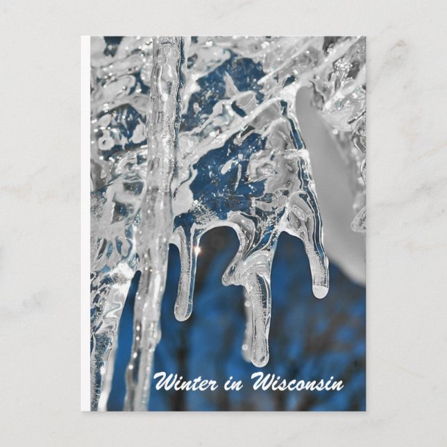 Winter in Wisconsin Postcard (Front)