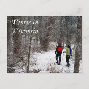 Winter In Wisconsin Postcard