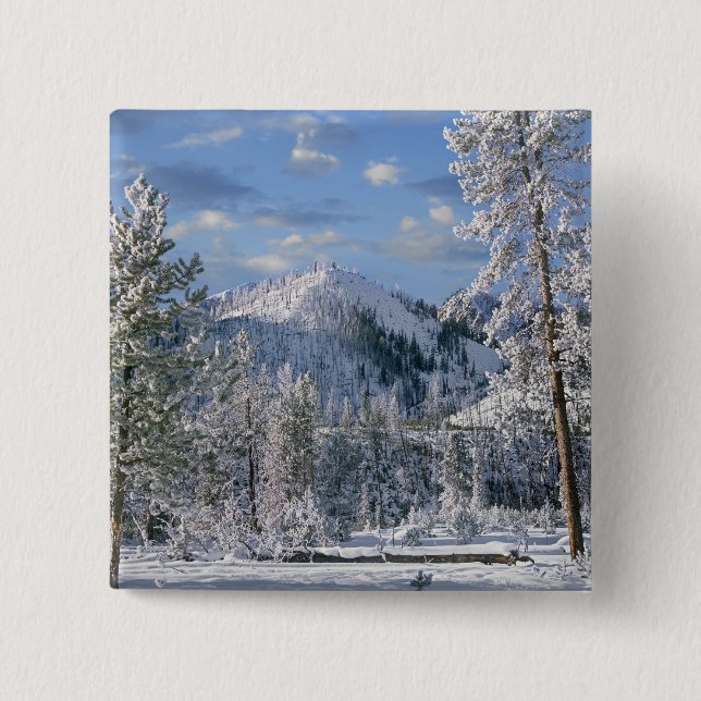 Winter in Yellowstone National Park, Wyoming 15 Cm Square Badge (Front)