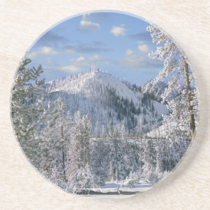 Winter in Yellowstone National Park, Wyoming Coaster