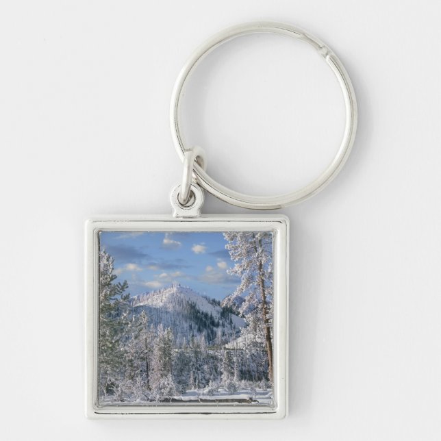 Winter in Yellowstone National Park, Wyoming Key Ring (Front)