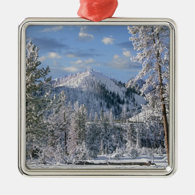 Winter in Yellowstone National Park, Wyoming Metal Tree Decoration (Front)