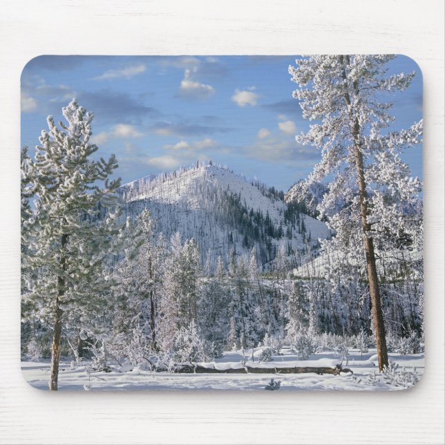 Winter in Yellowstone National Park, Wyoming Mouse Mat (Front)