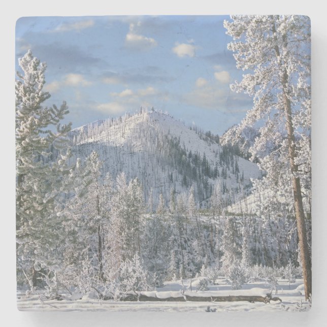 Winter in Yellowstone National Park, Wyoming Stone Coaster (Front)