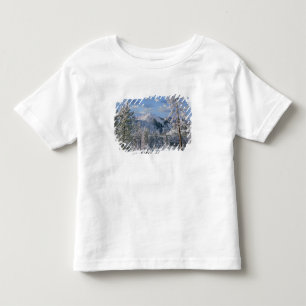 Winter in Yellowstone National Park, Wyoming Toddler T-Shirt