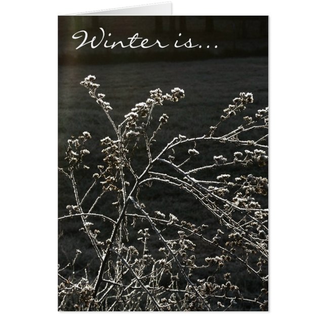 Winter Is (Front)
