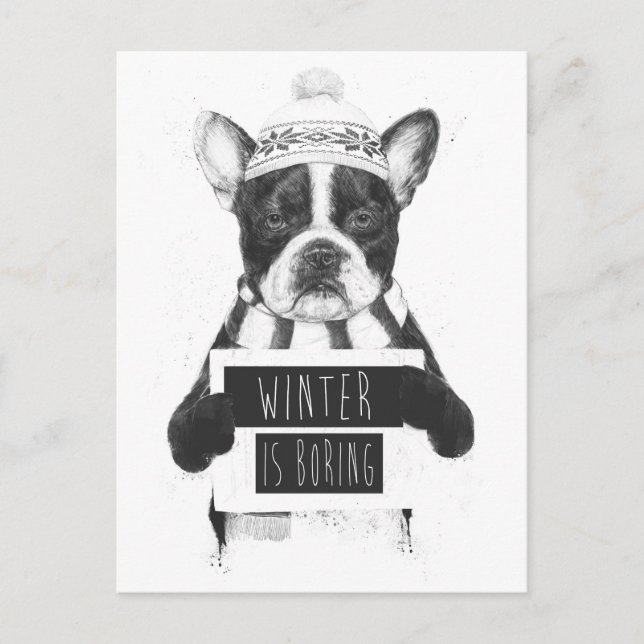 Winter is boring postcard (Front)